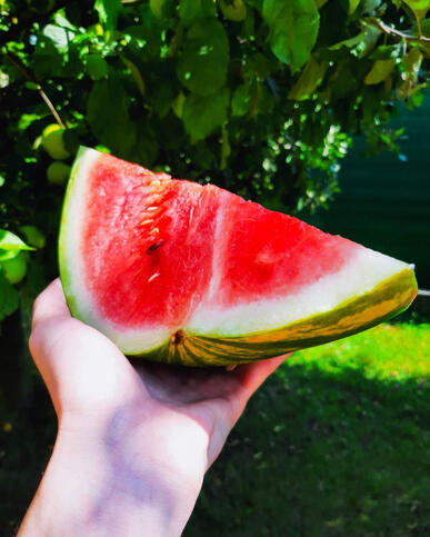 Aftercup Home • Dinnye • 1p