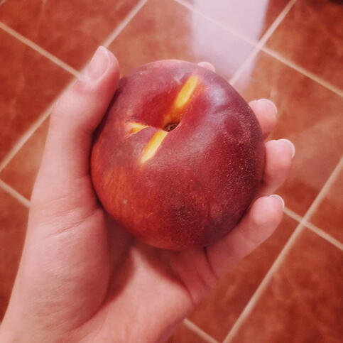 Aftercup Home • Kora őszi gyümölcsök • 1p